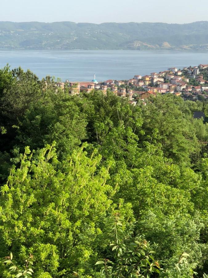 Dag Evi ,2 Oda, Lake View, Fireplace Jakuzi,6 Person Sapanca Exterior foto